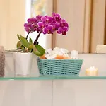 아파트 Haus Tirol *
